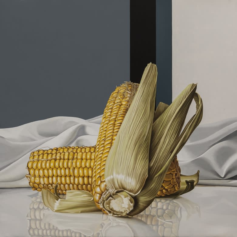 Elena Molinari, Two Corncobs