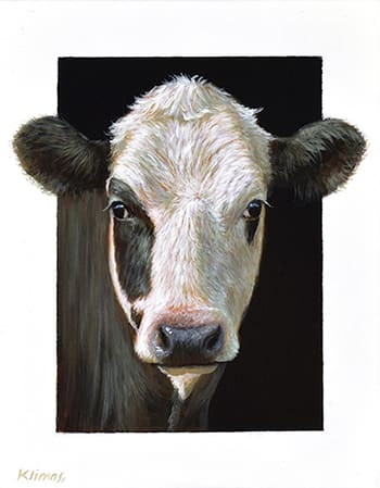 Alexandra Klimas, Miniature painting, Tess a yearling Calf