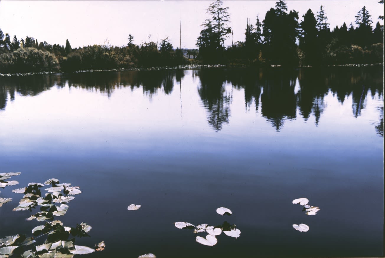 James Van Patten, Lake Carnegie