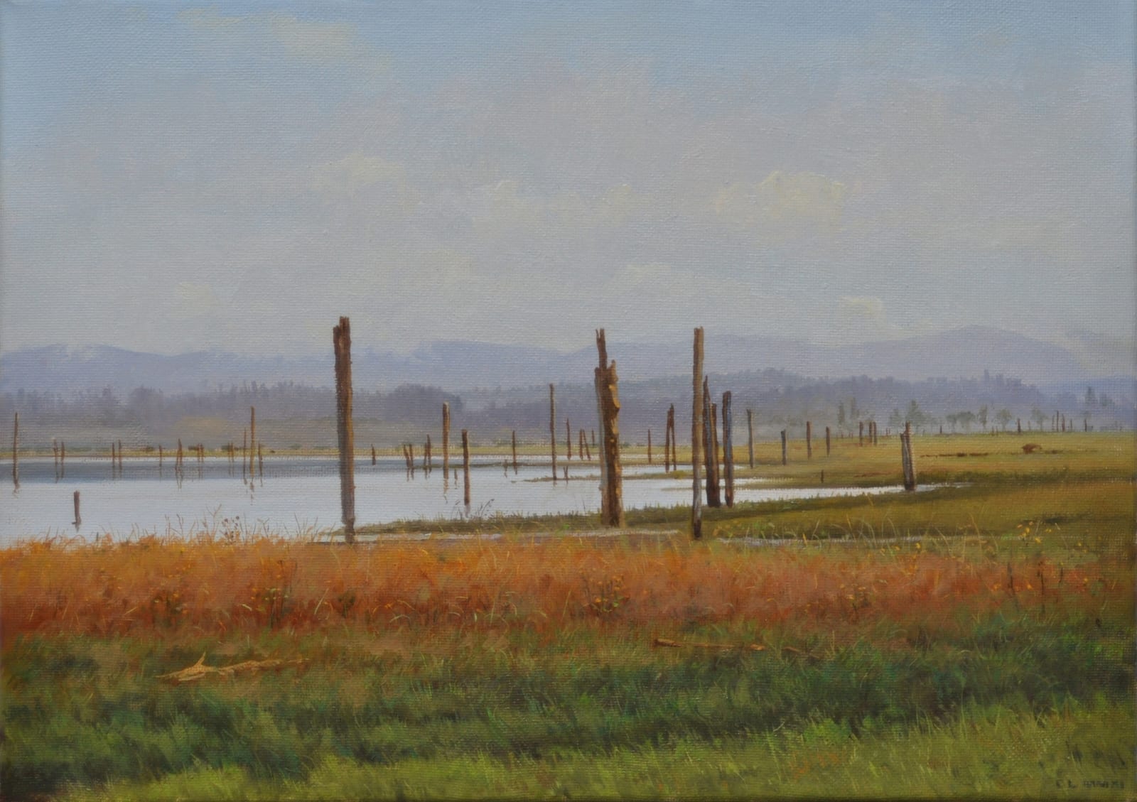 Carl Laubin, The English Boom Company, Camino Island