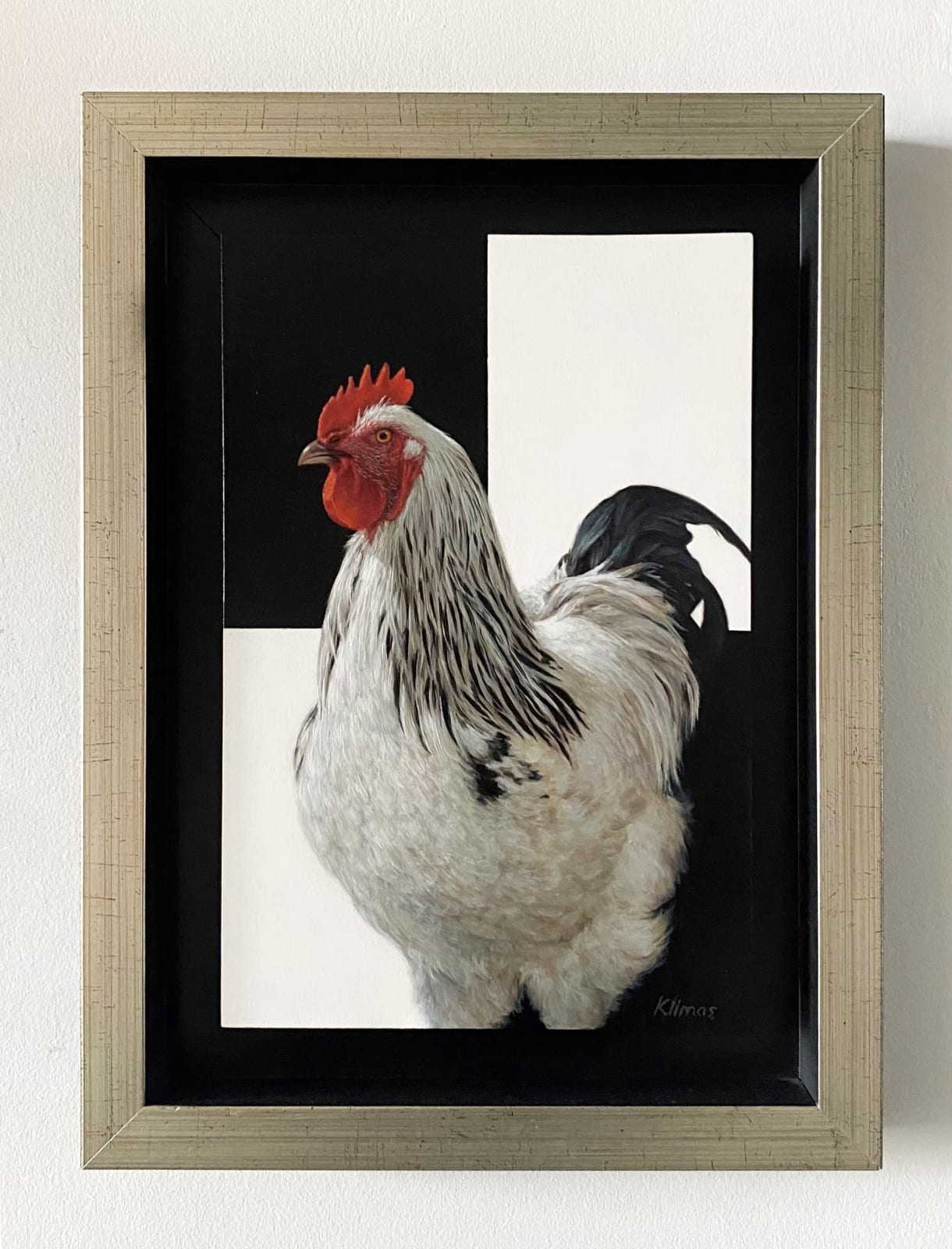 Alexandra Klimas, Charlie the Rooster I