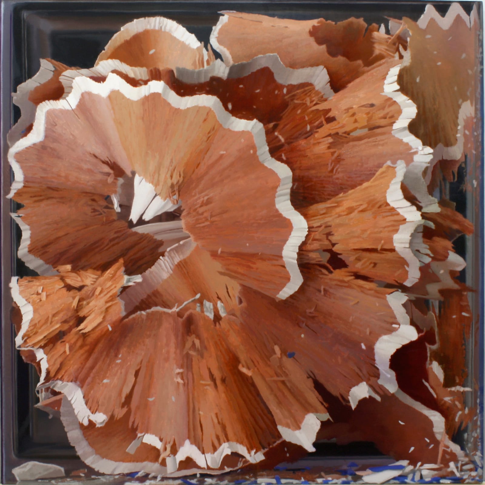 Javier Banegas, Shavings II