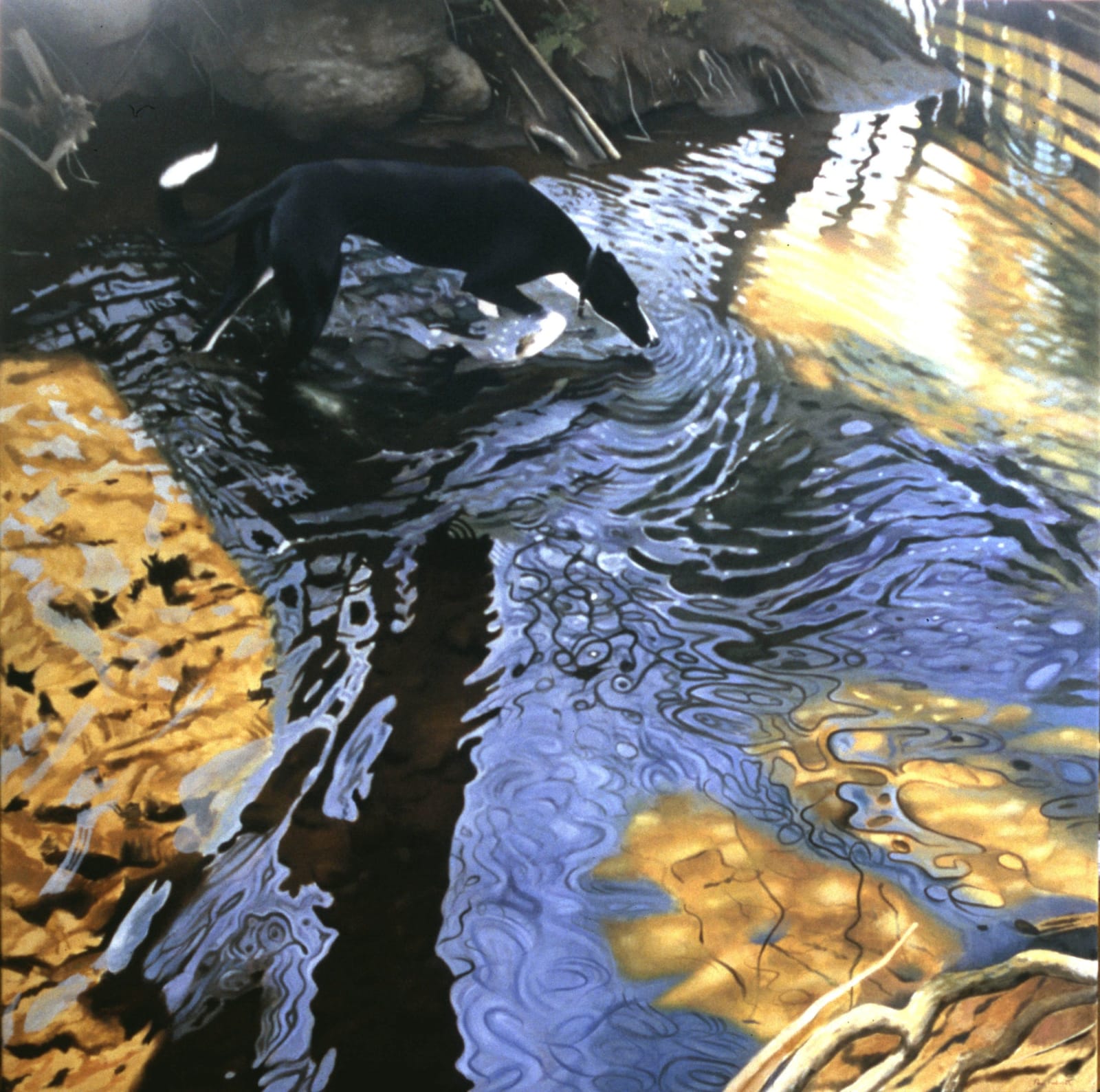 Paul Roberts, Drinking In The Stream