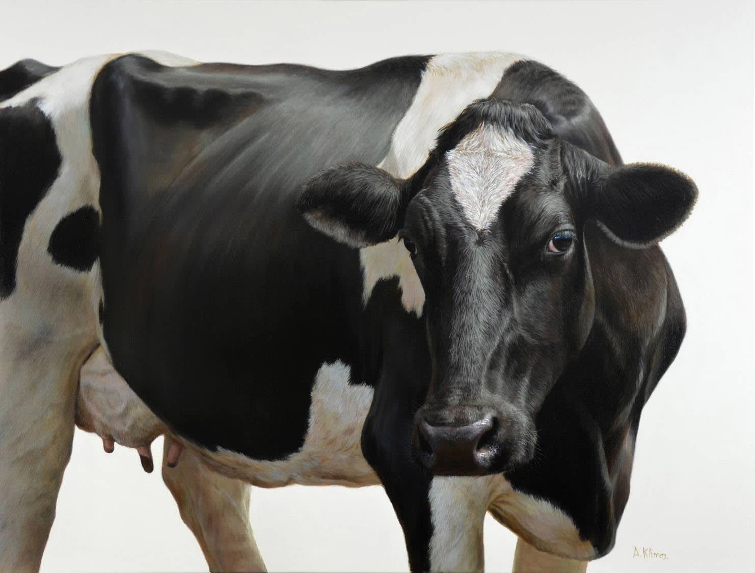 Alexandra Klimas, Daisy the Cow