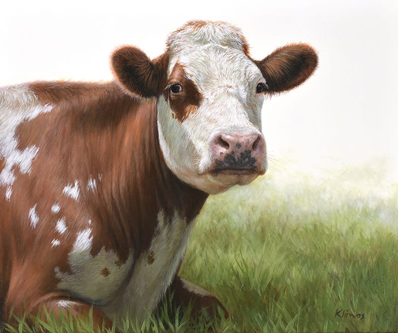 Alexandra Klimas, Jessie the Cow