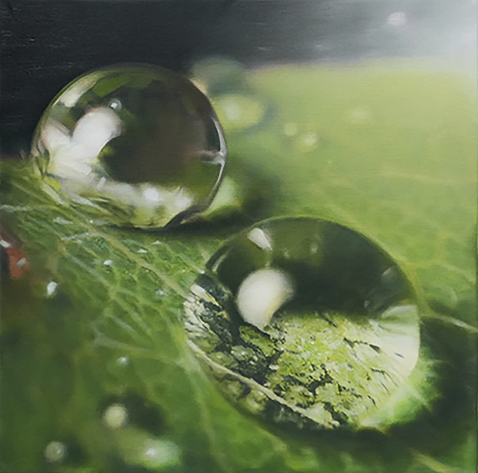Stephan Kaluza, Transit II - 252