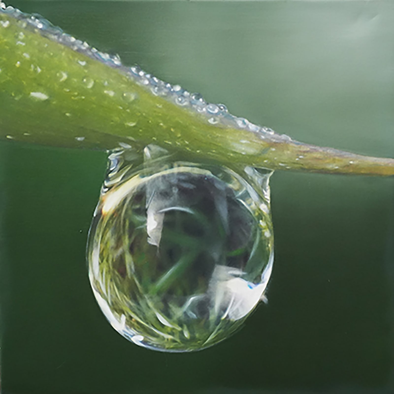 Stephan Kaluza, Transit II - 251