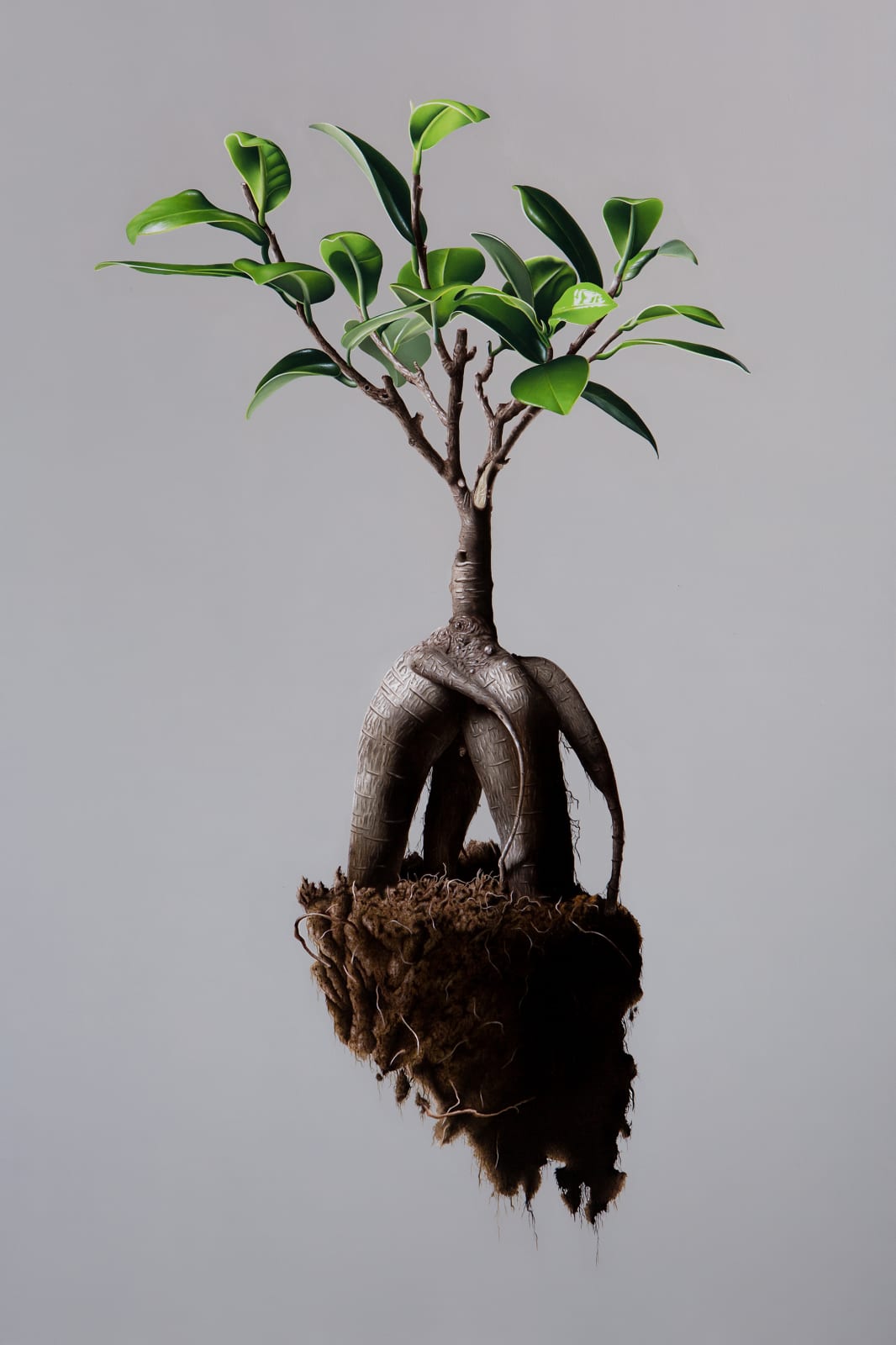 Christian Carlini, Suspension