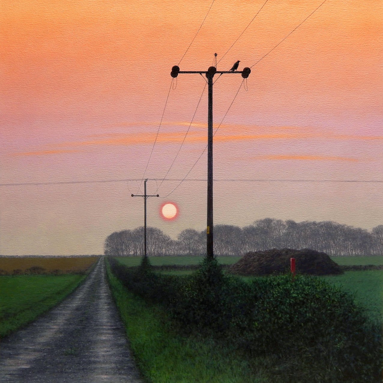 Steve Whitehead, Ganton Wold Sunset (Twilight)