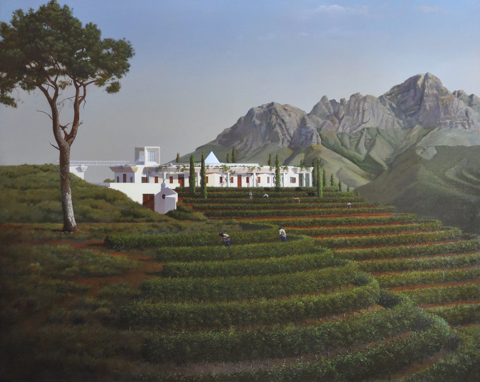 Carl Laubin, Ex Africa Semper Aliquid Novi; the Winery at Vergelegen, 1992- 2014