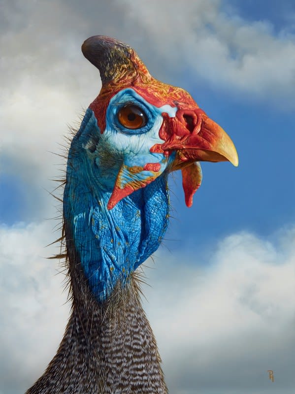 Peter Hohsl, Fowl Mood