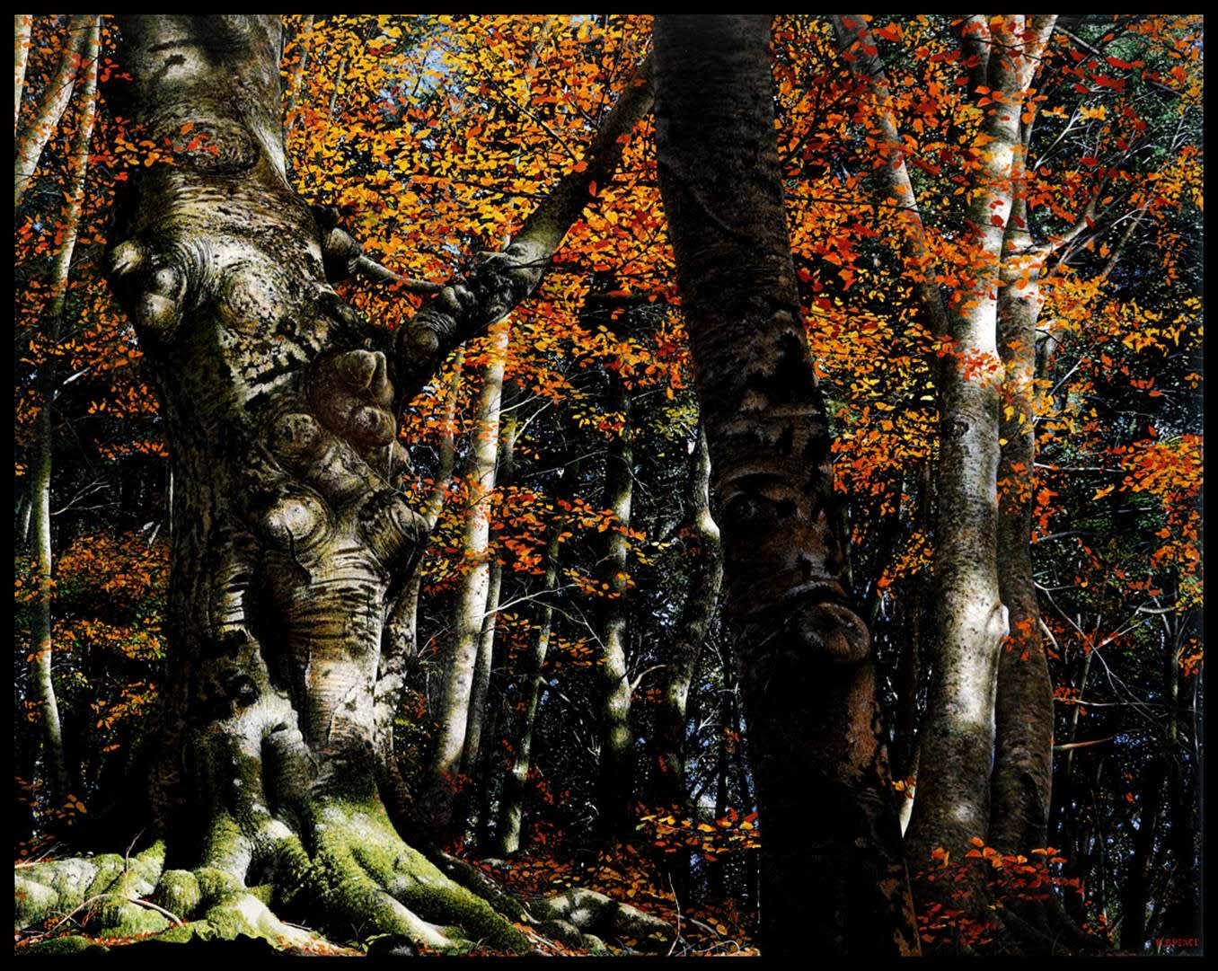 Raphaella Spence, Autumn Colours
