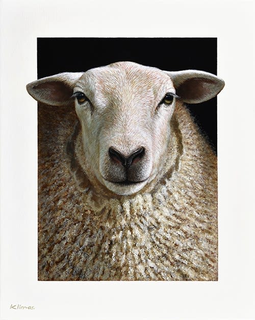 Alexandra Klimas, Lana the Sheep