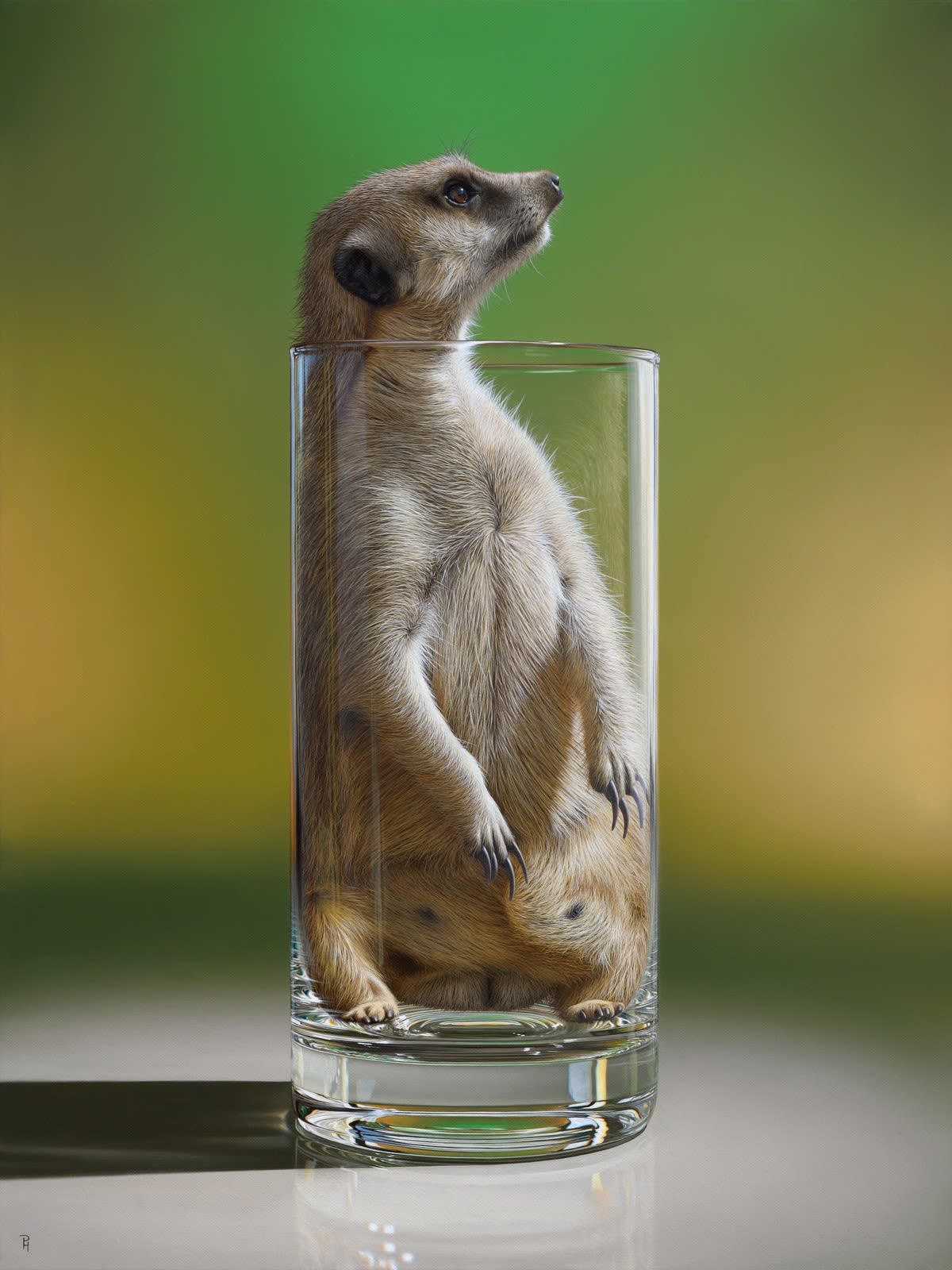 Peter Hohsl, Meerglass