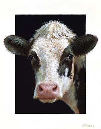 Alexandra Klimas, Miniature painting, Aimy a yearling Calf