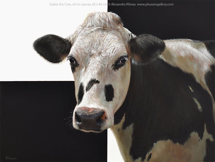 Alexandra Klimas, Saskia the Cow