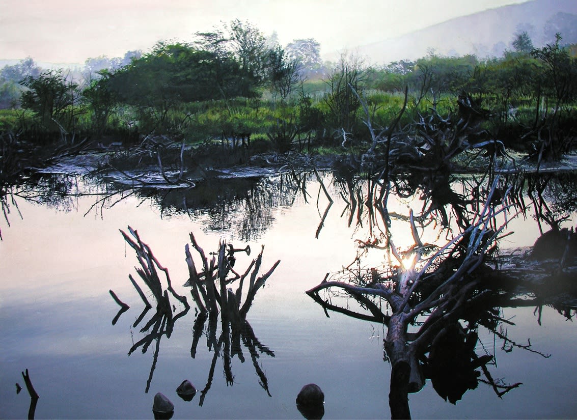 James Van Patten, Charlotte Valley Swamp