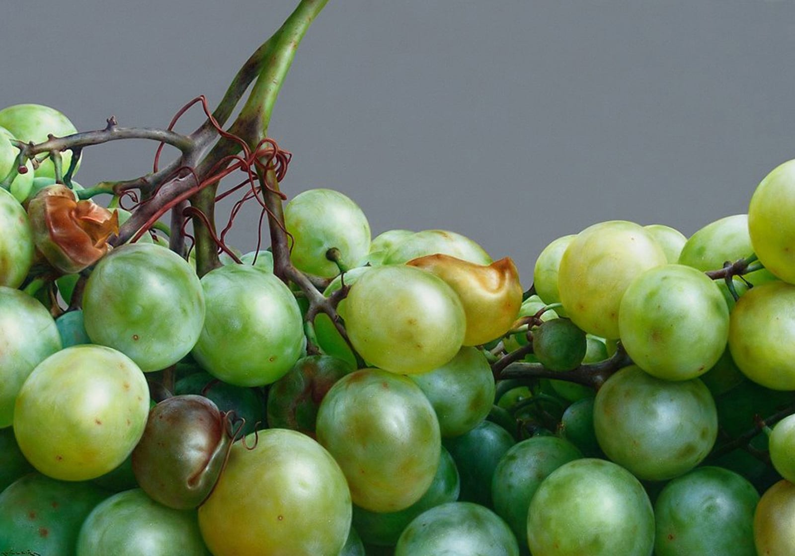 Antonio Castello, Grapes