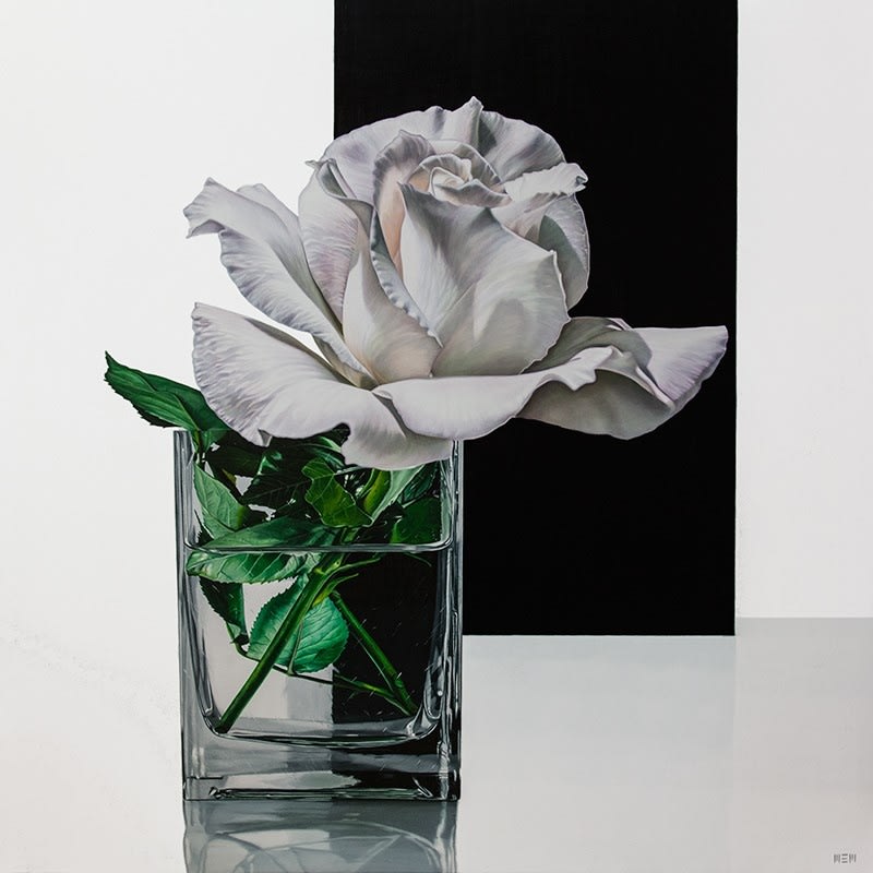 Elena Molinari, White Solitude