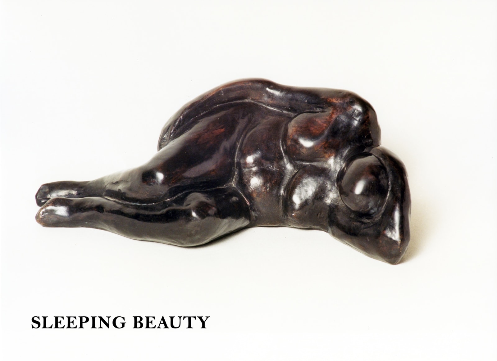 Caroline D'Andlau Hombourg, Sleeping Beauty 4/7