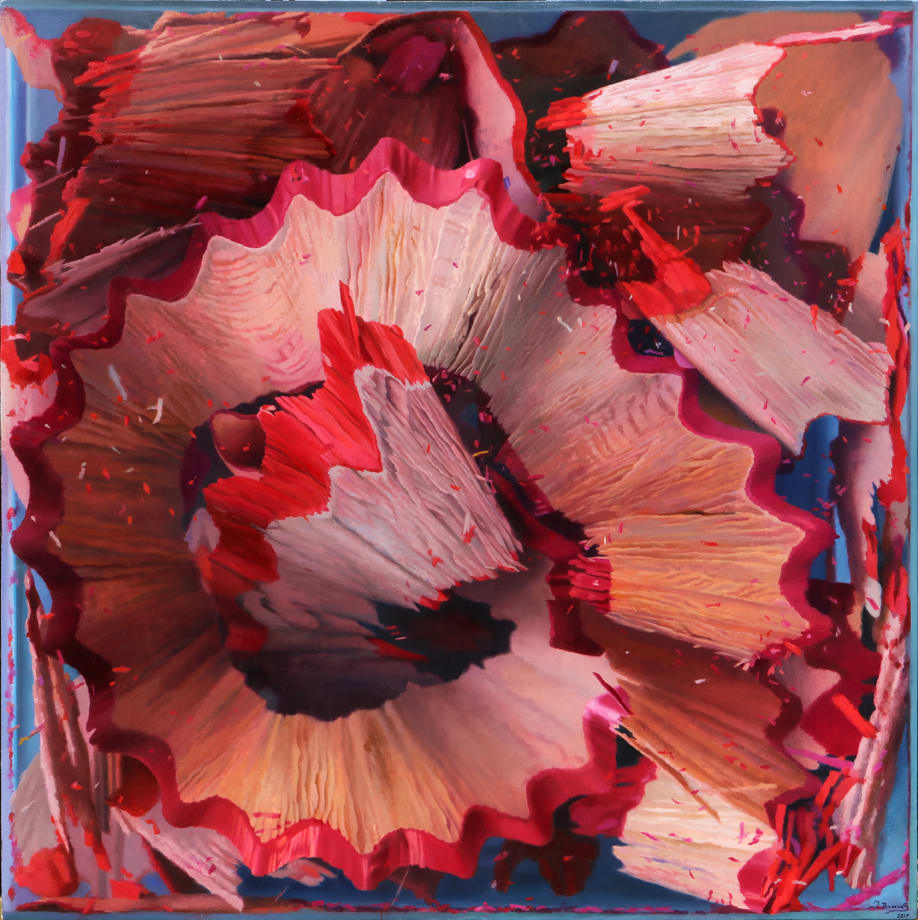 Javier Banegas, Shavings VIII