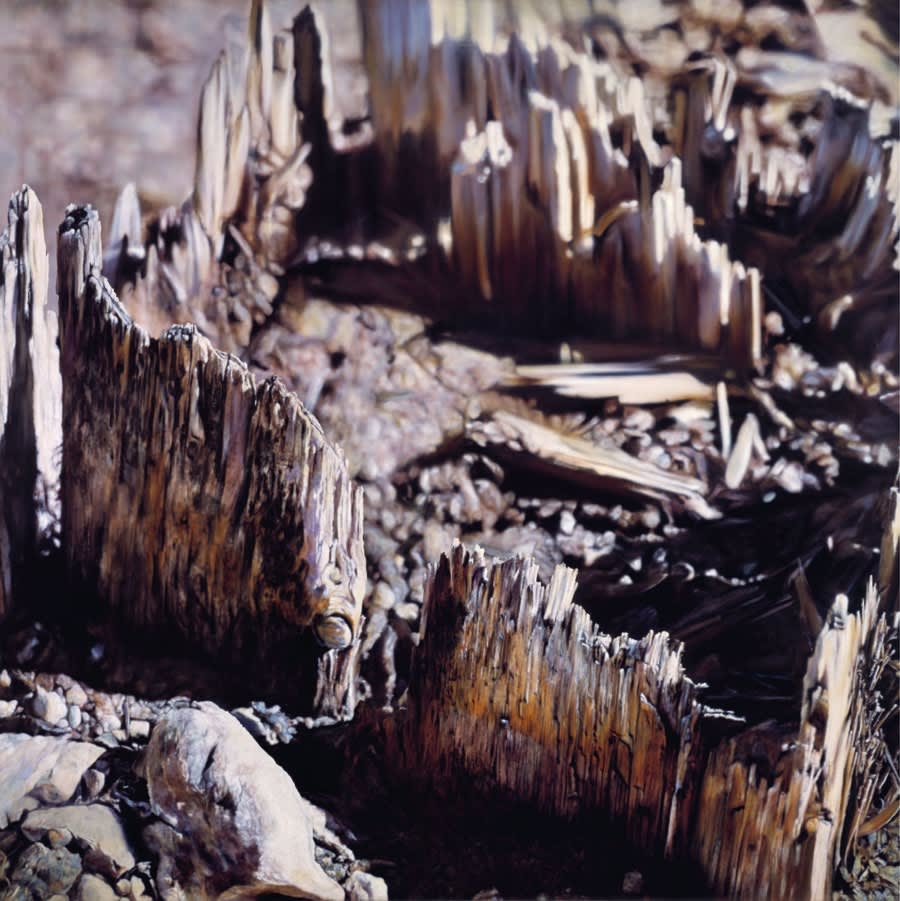 Ben Schonzeit, Goldmine