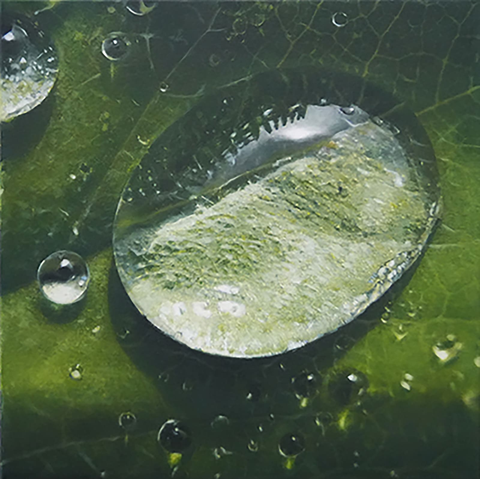 Stephan Kaluza, Transit II - 250