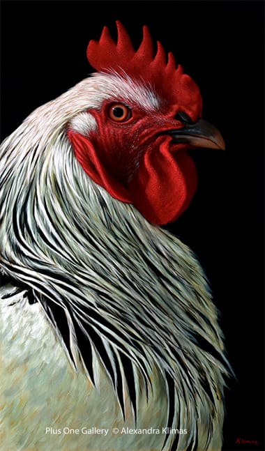 Alexandra Klimas, Charlie the Rooster III