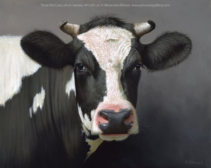 Alexandra Klimas, Tessa the Cow