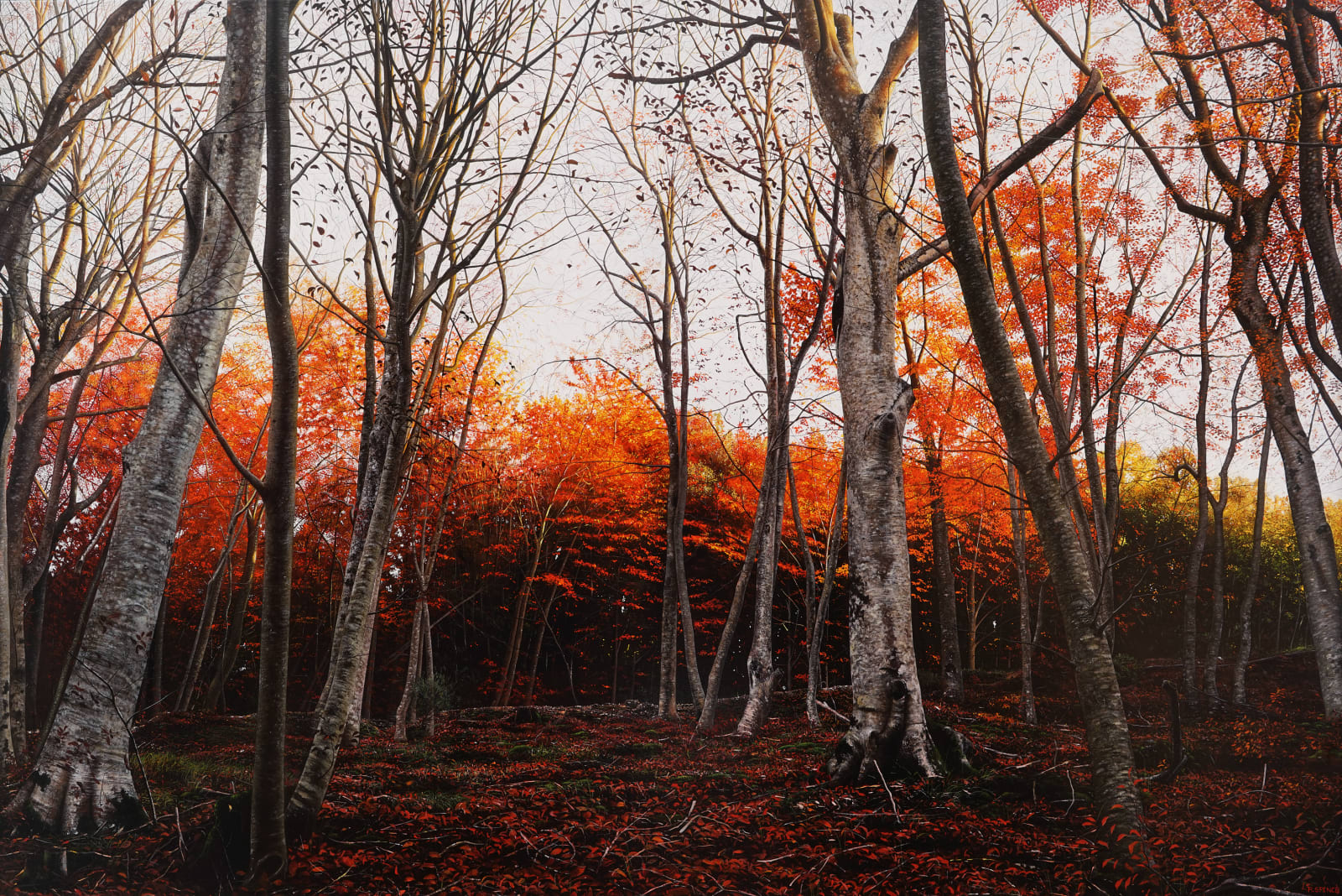 Raphaella Spence, Autumn Woods, 2017