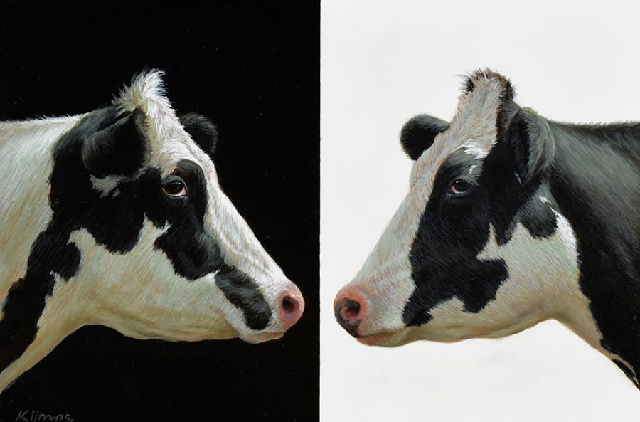 Alexandra Klimas, Lola and Lily the Cows