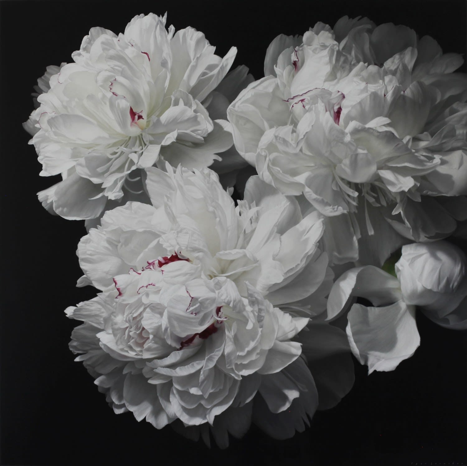 Igor Levashov, White Peonies II