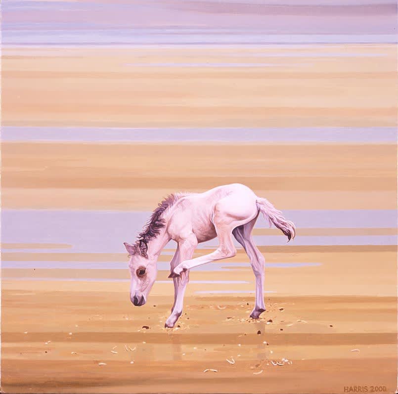 Philip Harris, Foal 2, 2001