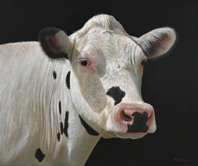 Alexandra Klimas, Liva the Cow