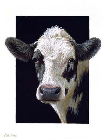 Alexandra Klimas, Miniature painting, Emmy a yearling Calf