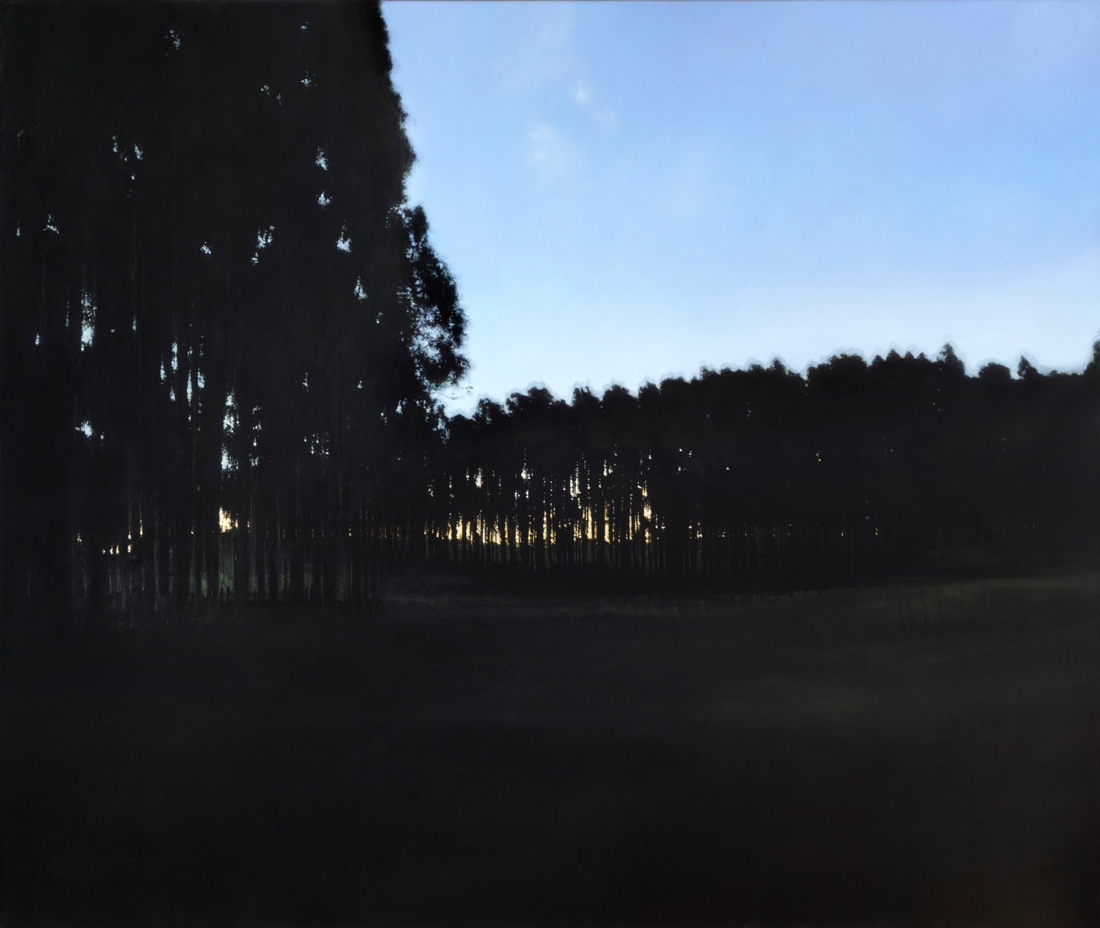 Martin La Rosa, The Sum of the Days