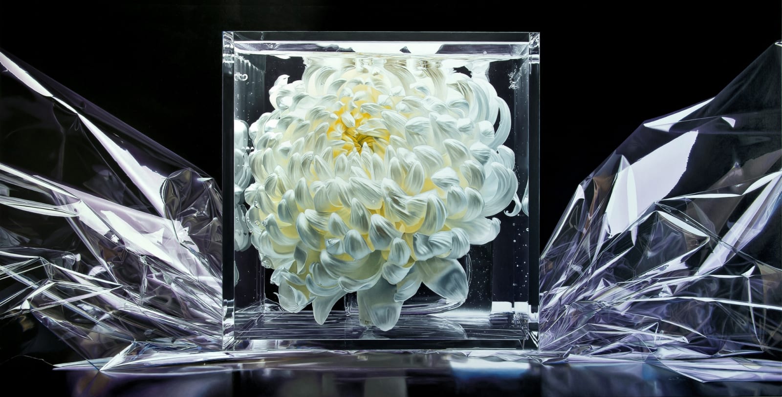 Francois Chartier, Precious