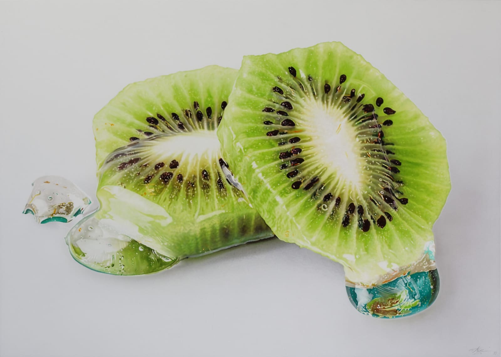 Tom Martin, Kiwi Study