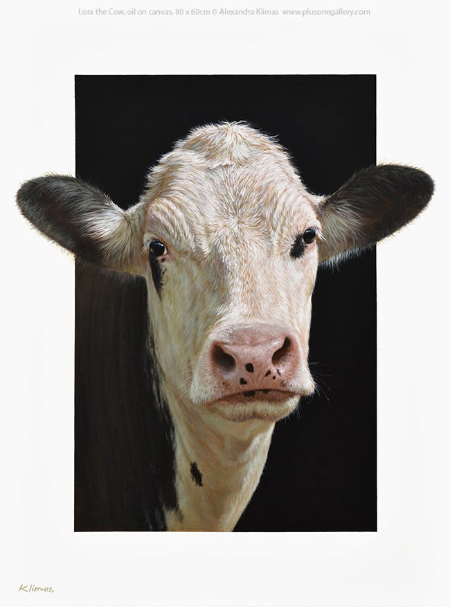 Alexandra Klimas, Lora the Cow