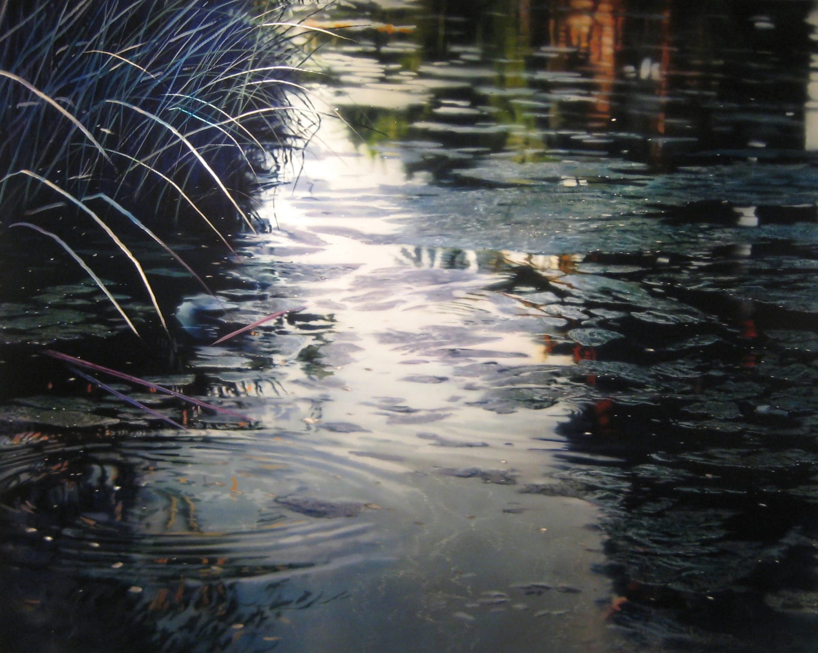 David T. Kessler, Grayed Twilight