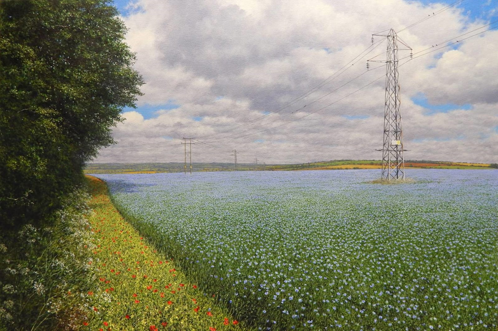 Steve Whitehead, Blue on the Wold