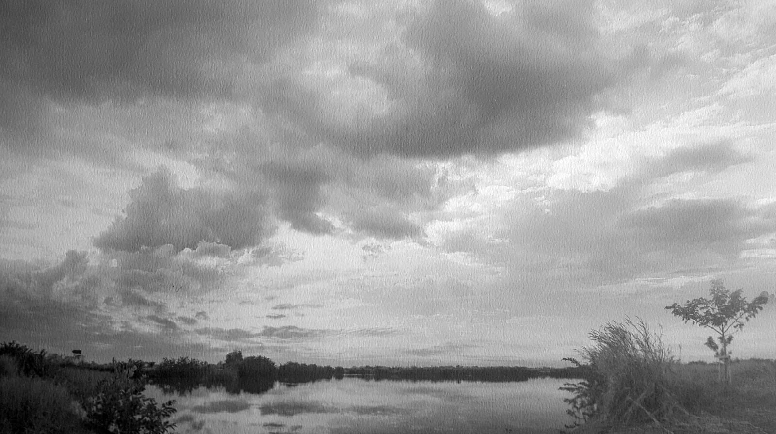 Paul Cadden, Wild and Wandering, 2018