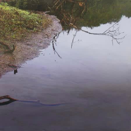 James Van Patten, Stick in the Mud