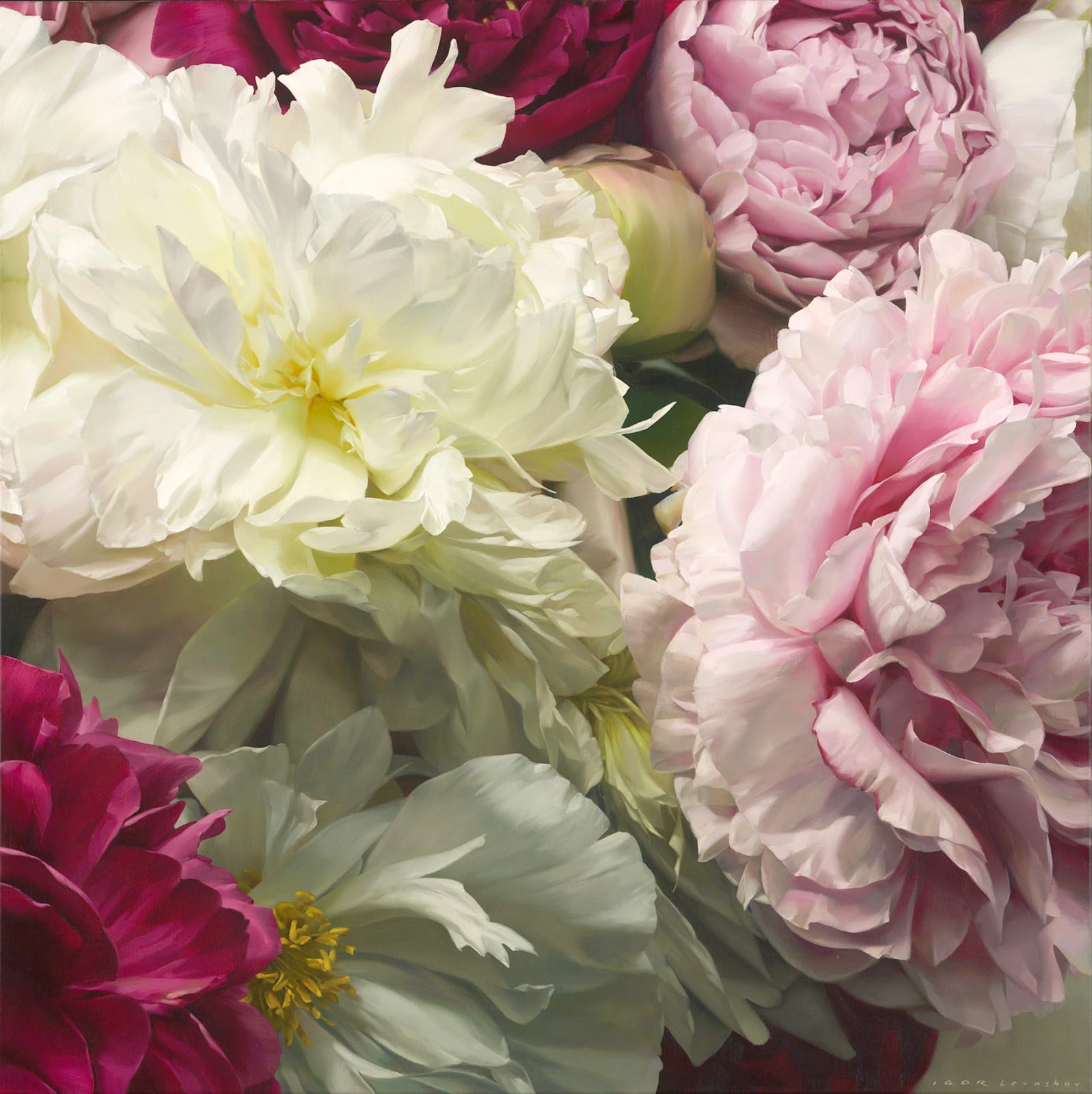 Igor Levashov, Peonies