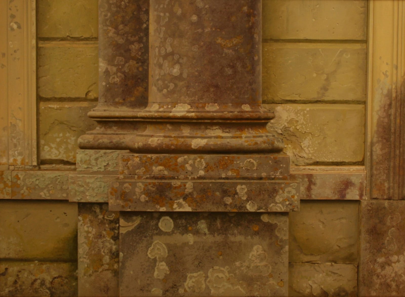 Carl Laubin, Leprose, Crustose and Foliose Lichens at Appuldurcombe