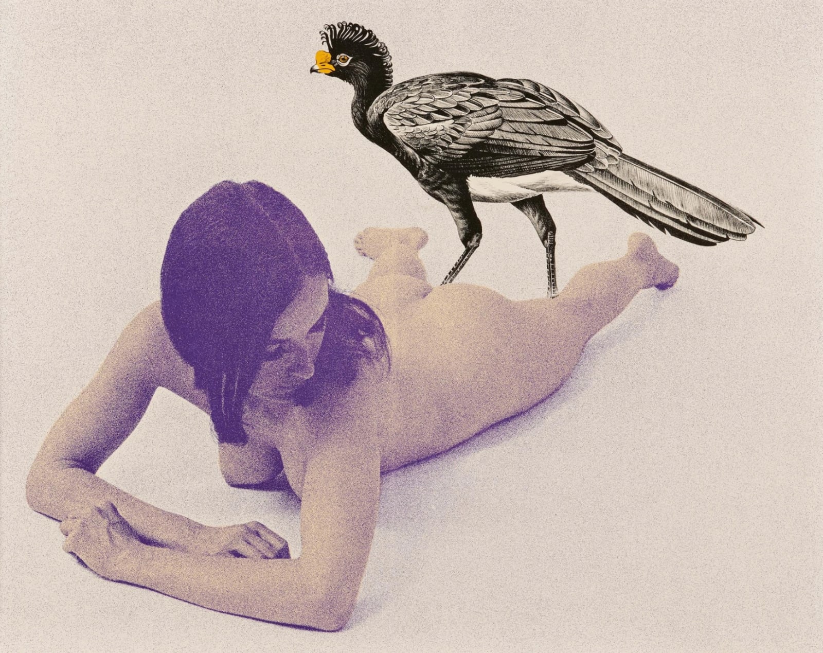 Mel Ramos, Currasow, 1969