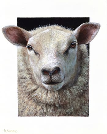 Alexandra Klimas, Miniature painting, Daisy the Sheep