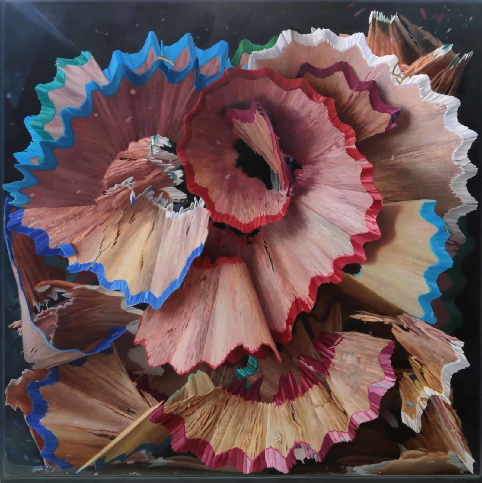 Javier Banegas, Colour Shavings II