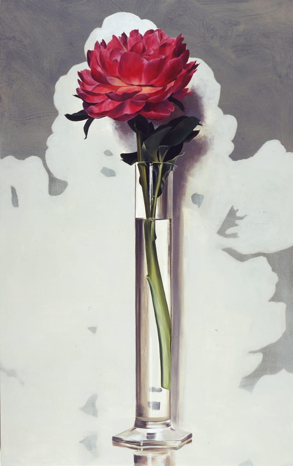 Ben Schonzeit, Silver Pink Peony
