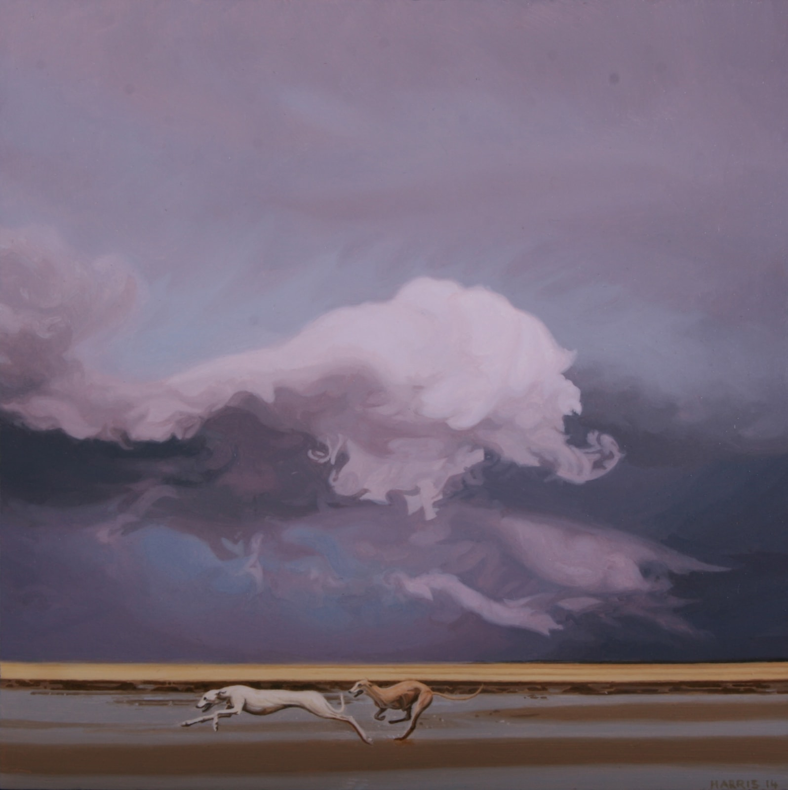 Philip Harris, Storm Dog II
